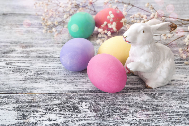 复活节彩蛋与白色的兔子