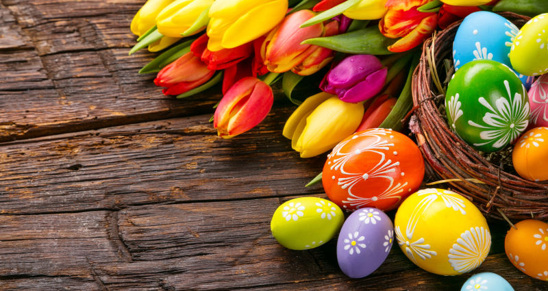 木桌上的郁金香和复活节彩蛋