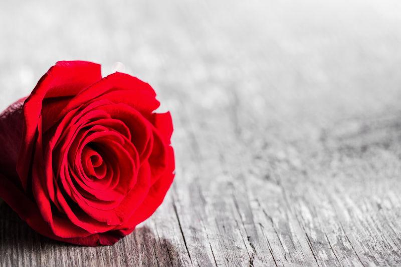 木桌背景中美丽的红玫瑰