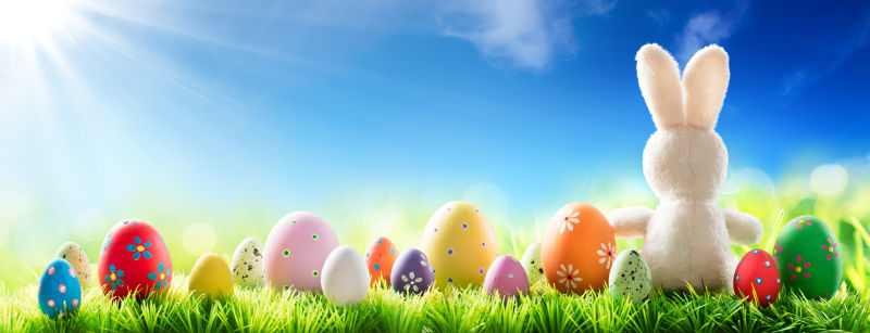 在阳光充足的草地上的装饰蛋兔子和彩蛋