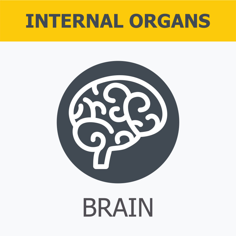 人体大脑图标矢量设计