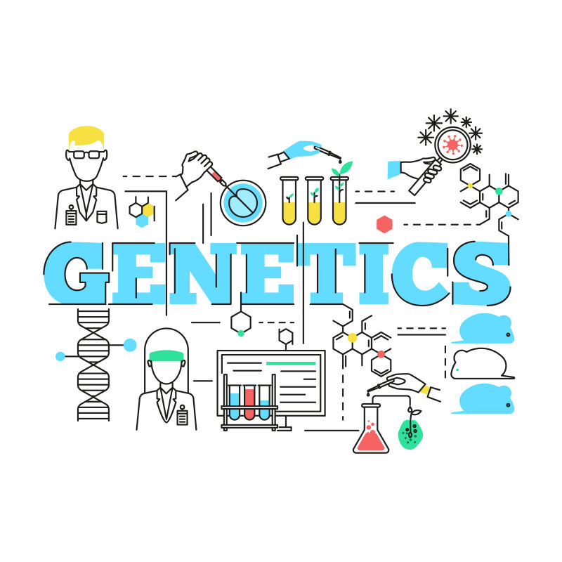 生物技术线性矢量插图设计