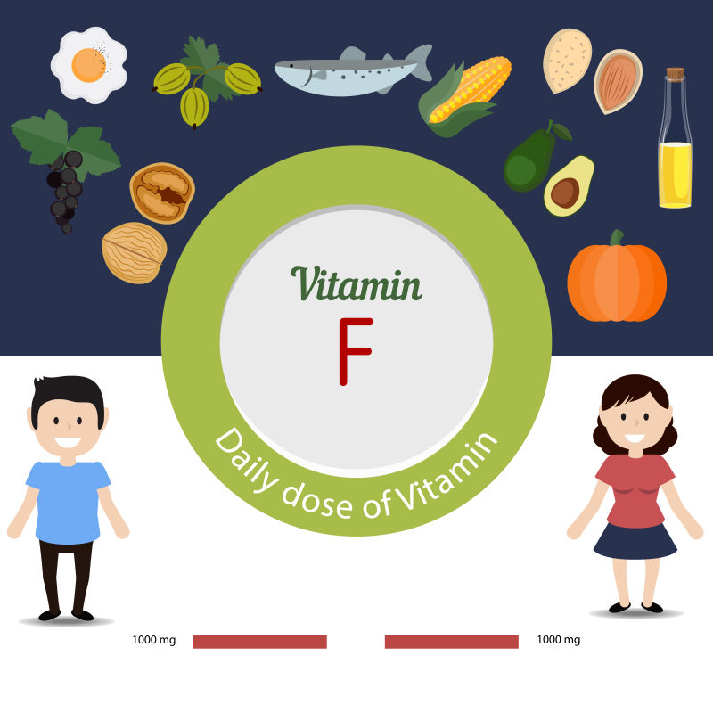 富含维生素F食物矢量插图