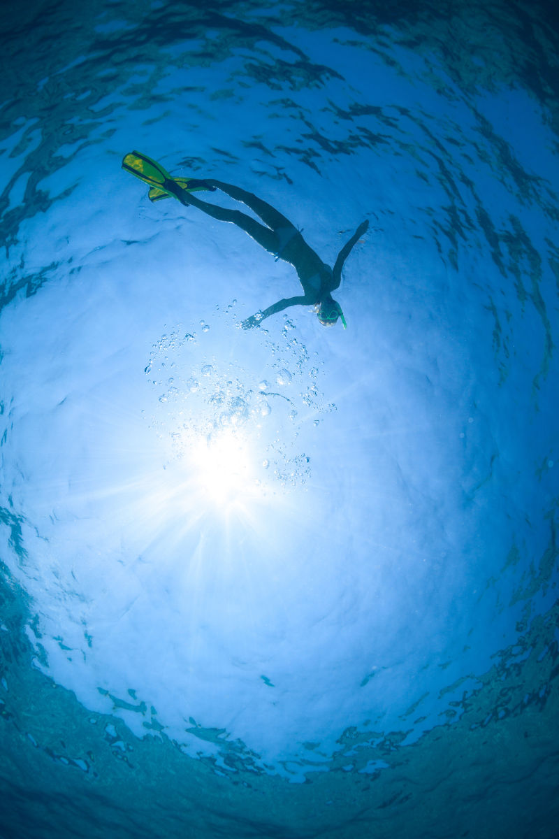 浮潜图片素材 在海中浮潜的人创意图片 Jpg格式 未来素材下载