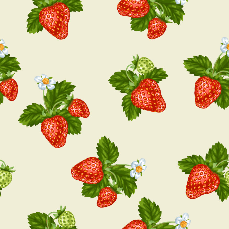红色草莓矢量插图设计