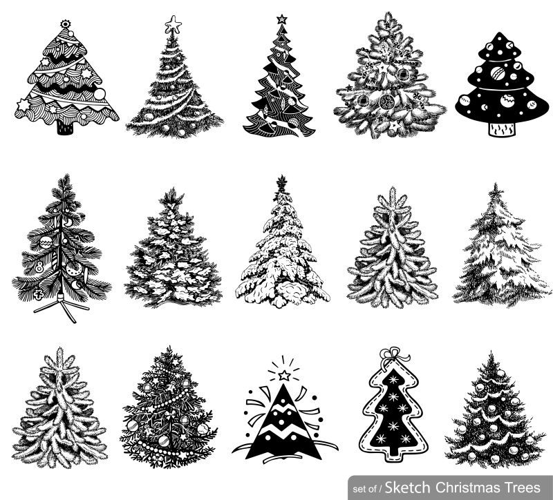 矢量手绘风格的圣诞树插图