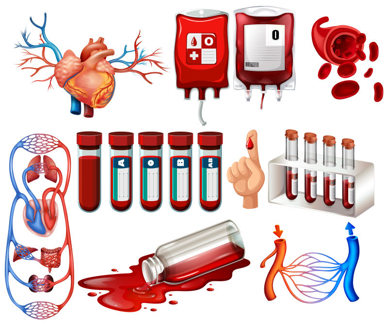 矢量人体血液和器官说明插图