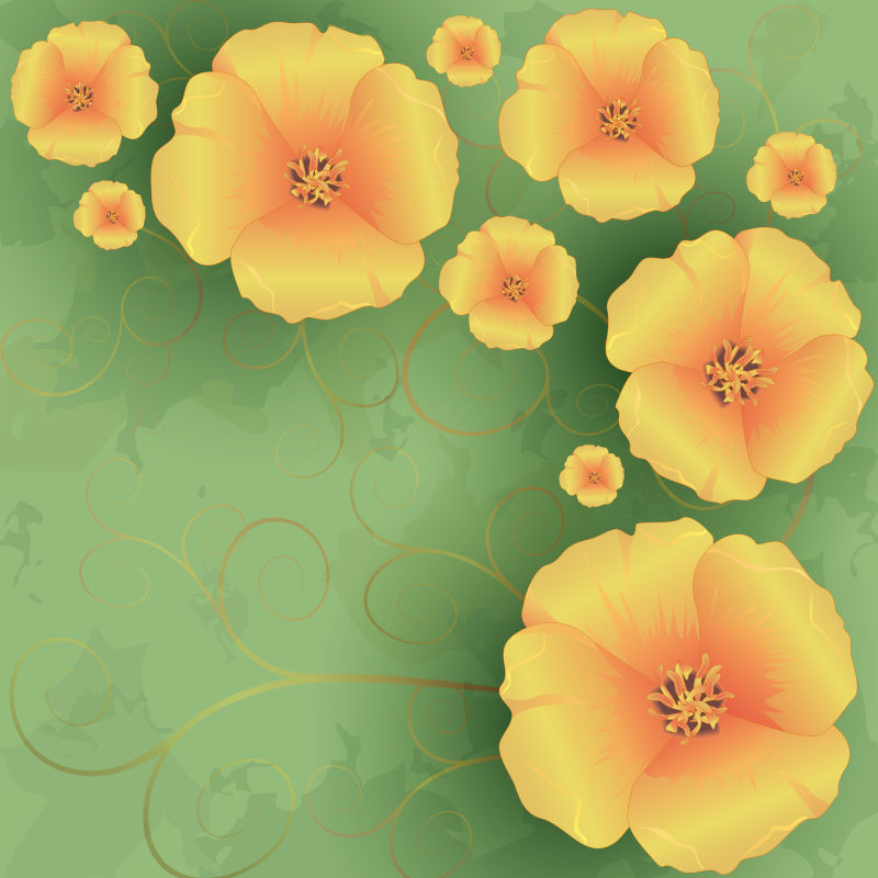 创意矢量彩色美丽花卉元素的背景