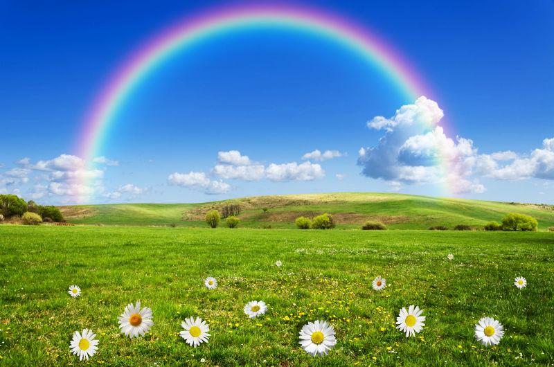 草地背景中彩虹