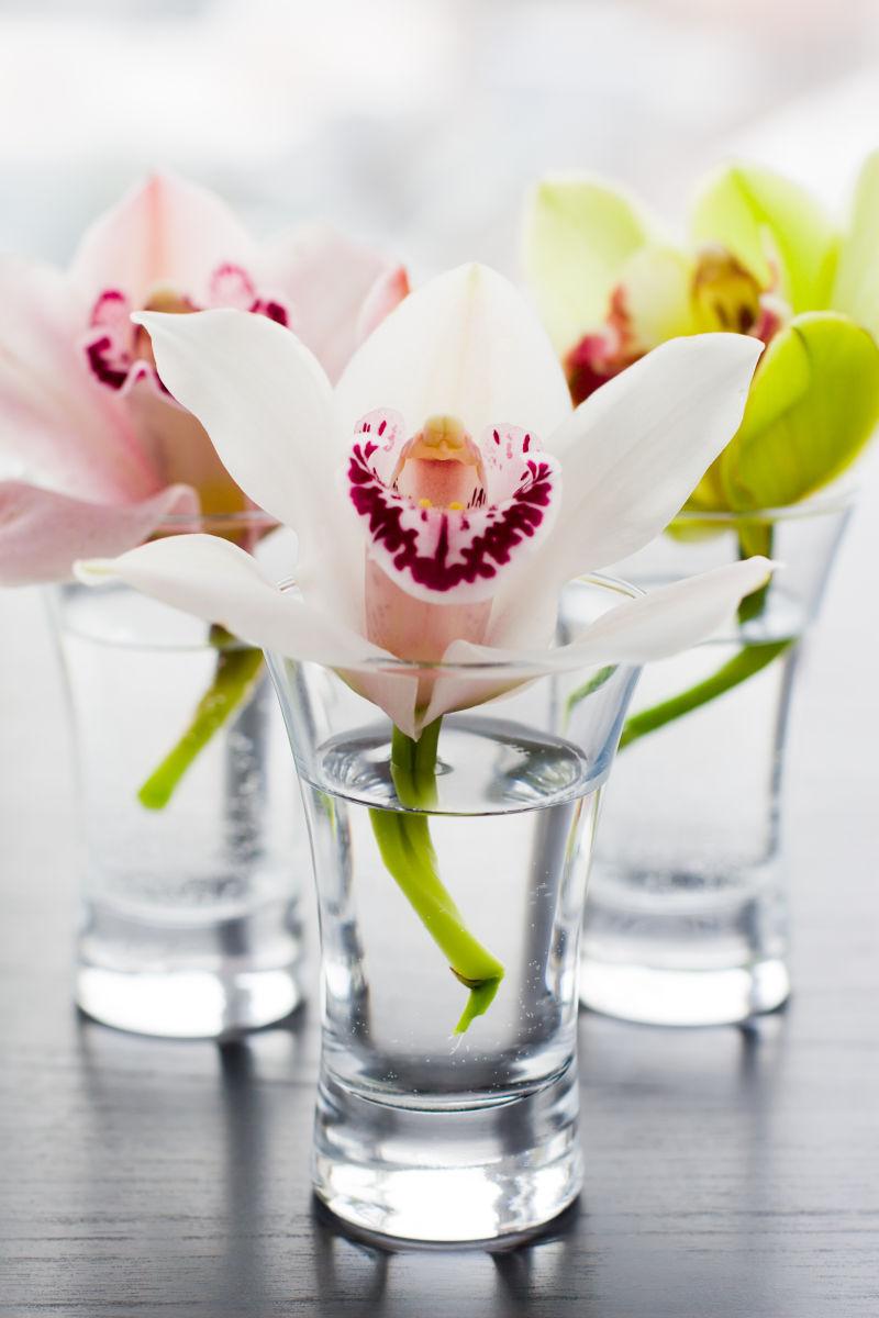 木桌上玻璃瓶中的兰花