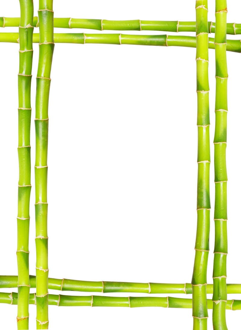 白色背景上的竹子框架