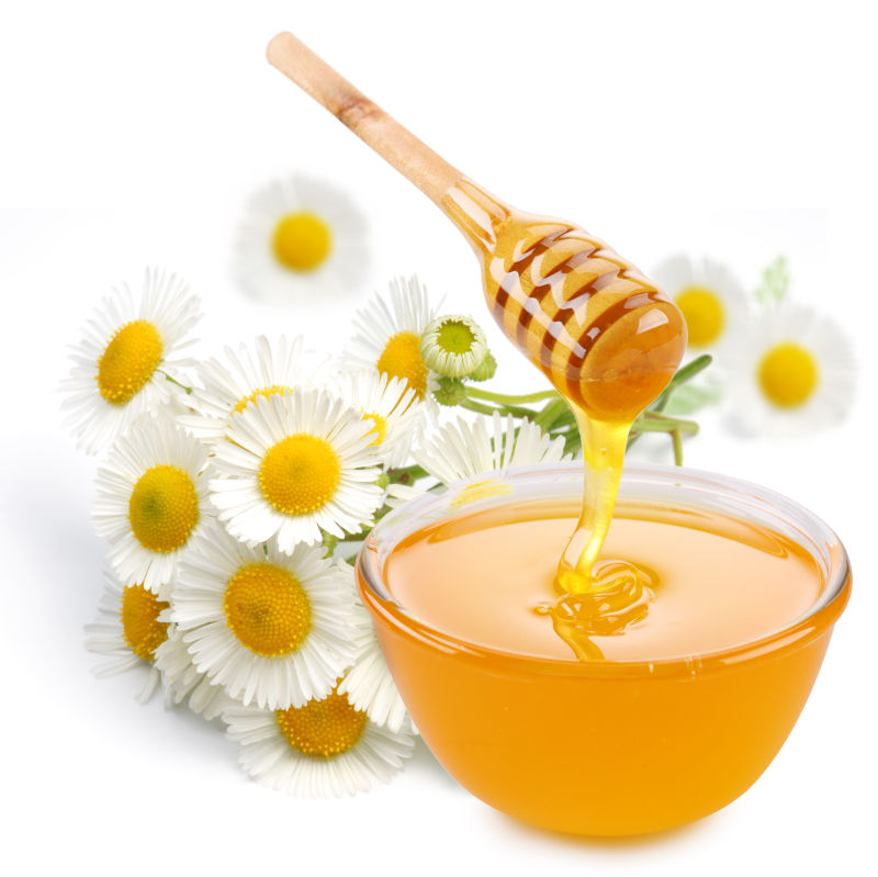 蜂蜜与白色花朵