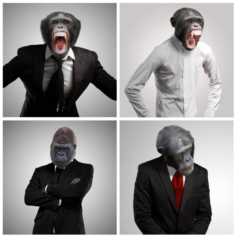 猴头商人系列