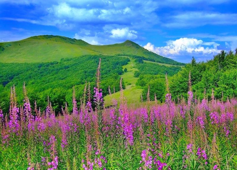 春天风景秀丽的山景