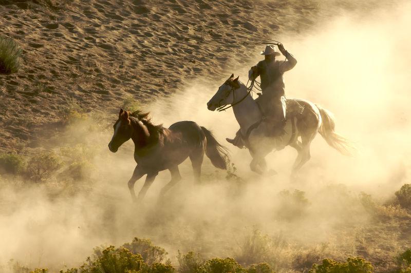 牛仔在沙漠中疾驰狂野的野马