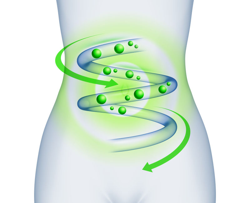 白色人形的绿色消化系统概念