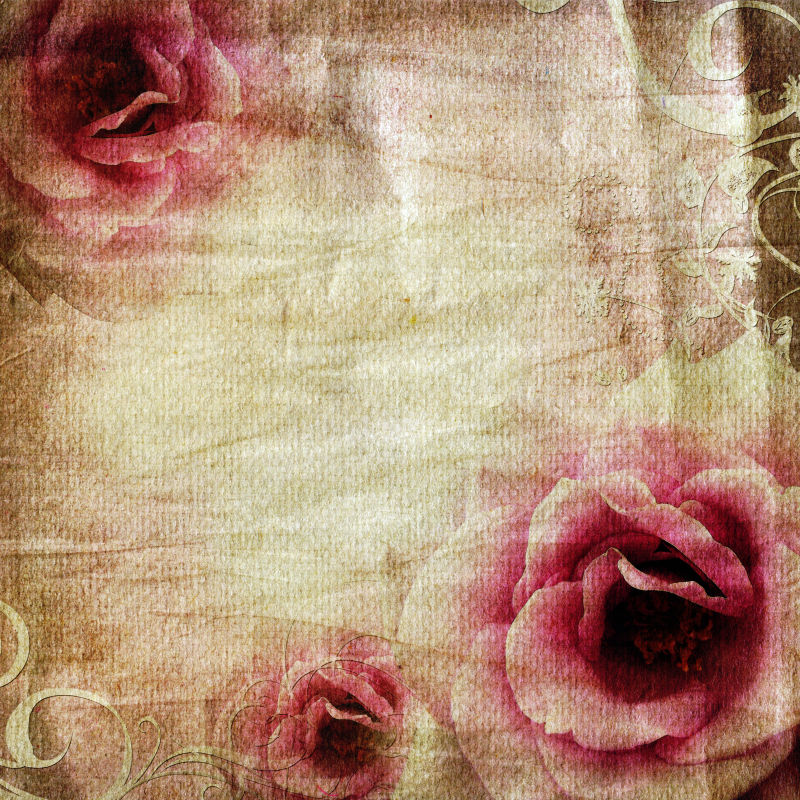  纸张背景中的玫瑰花纹