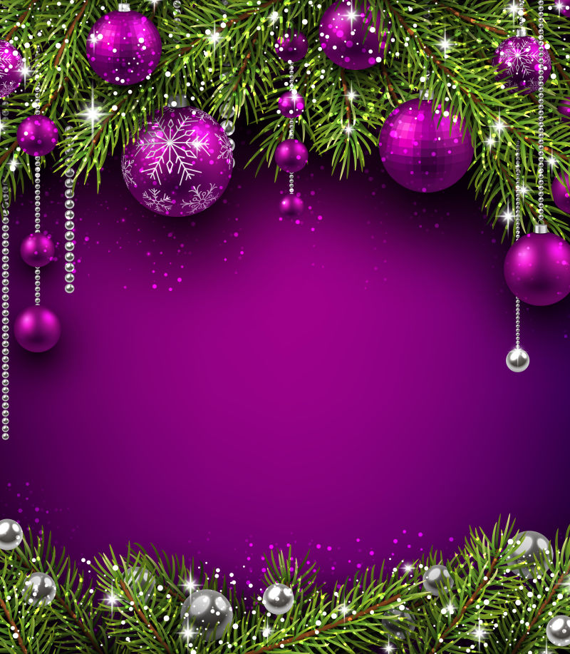 杉木树枝和紫色圣诞球装饰的矢量图