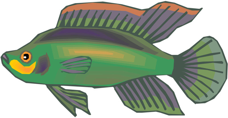 鱼鳍极长的鱼类卡通矢量图