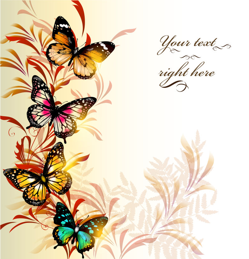 矢量色彩斑斓的手绘蝴蝶插图