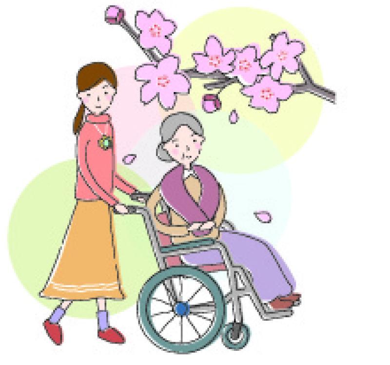 在花树下推着老奶奶的年轻女孩插图矢量