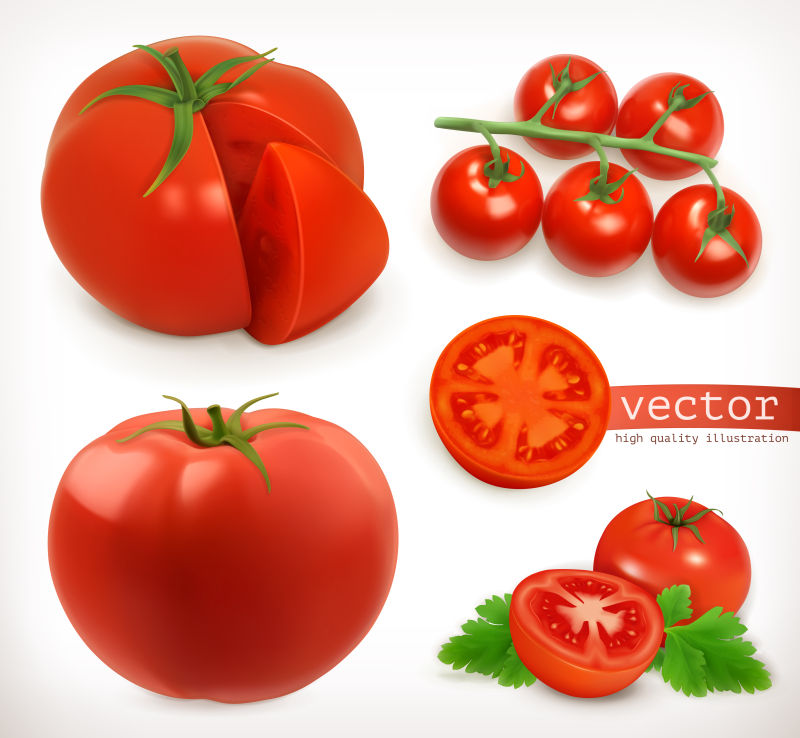 美味的新鲜西红柿矢量插图