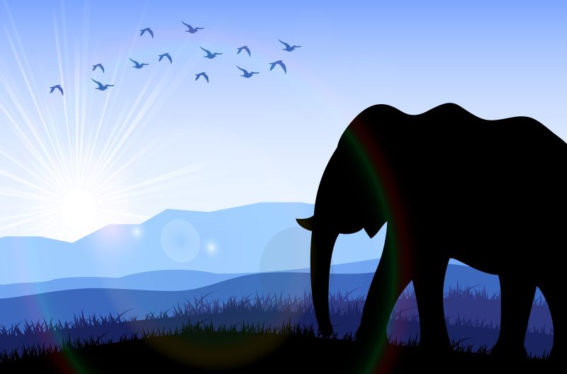抽象黎明时分的矢量大象剪影插图