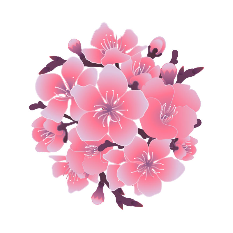 抽象矢量粉色樱花设计背景