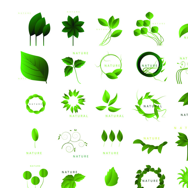 抽象的绿色树叶标志矢量设计