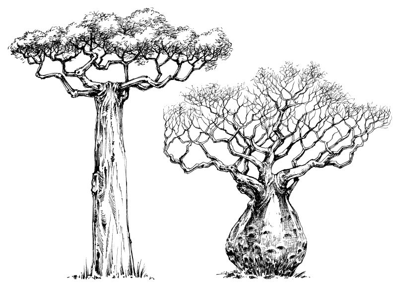抽象矢量手绘树木设计