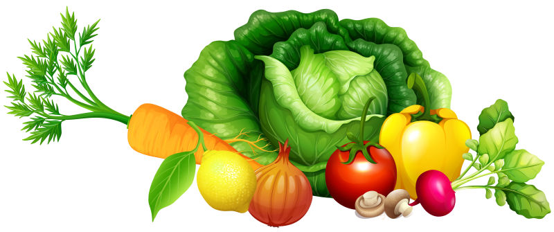 健康营养的新鲜蔬菜矢量插图