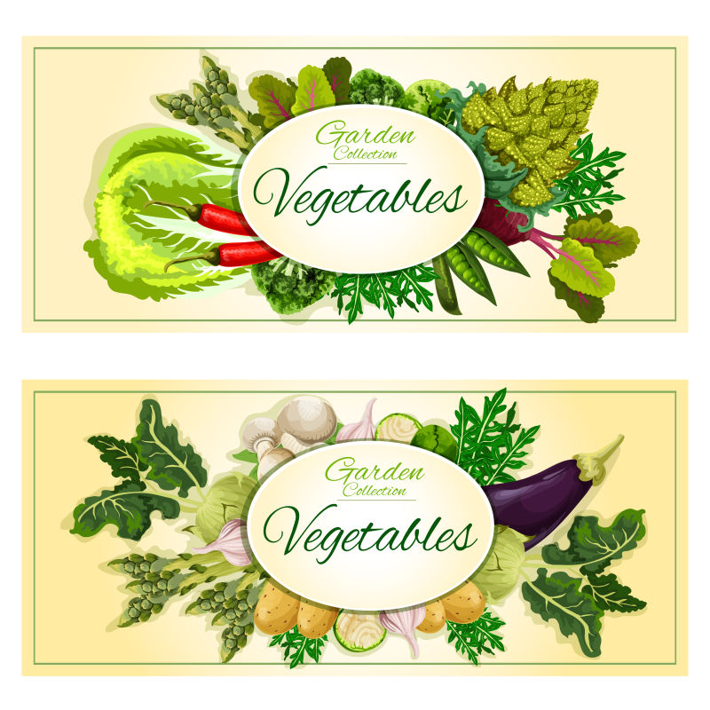 创意矢量健康蔬菜元素横幅设计