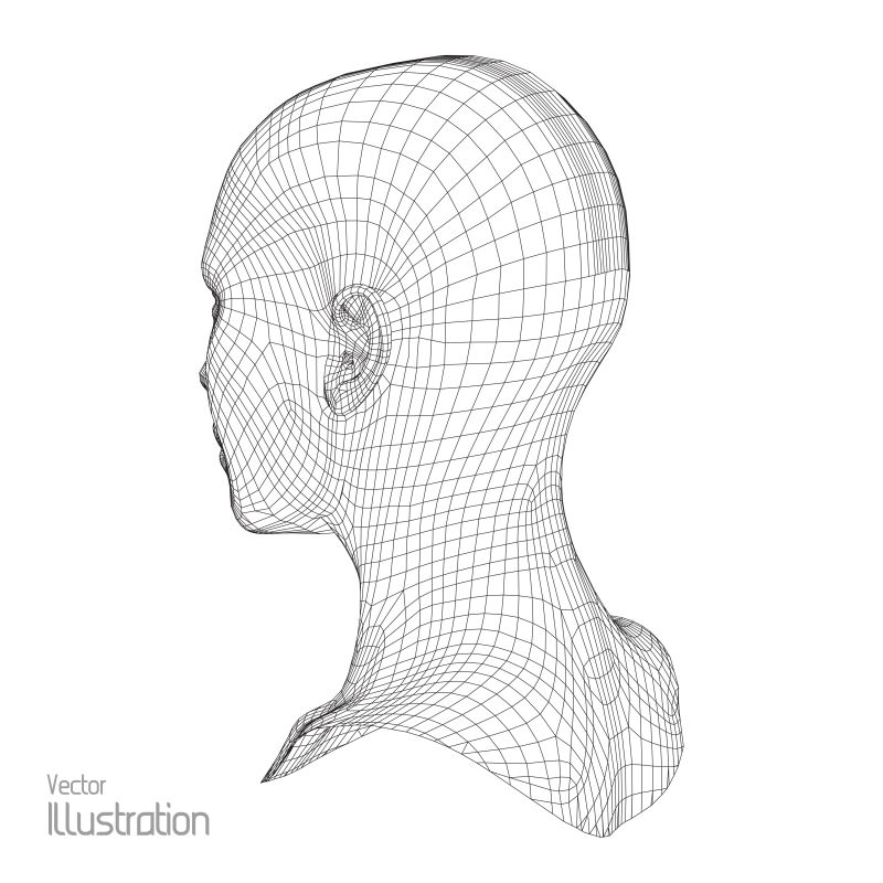 3D网格的人的头部侧面矢量图