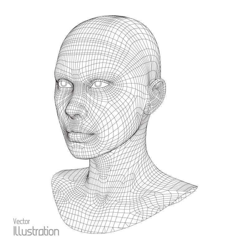 3D网格的人的头部矢量图