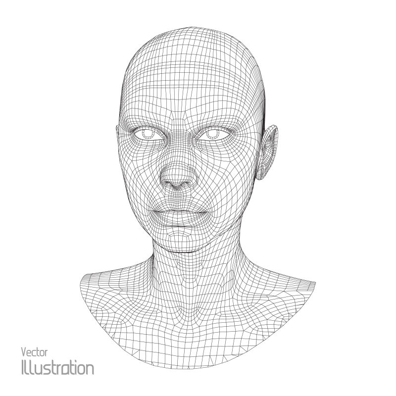 3D网格的人的头部正面矢量图