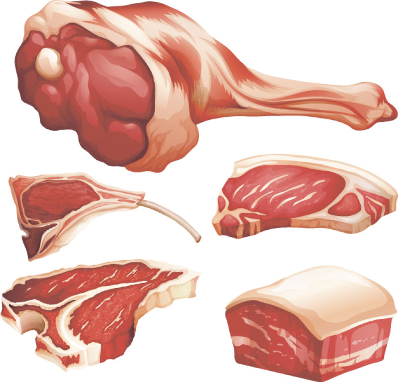 矢量的生肉插图