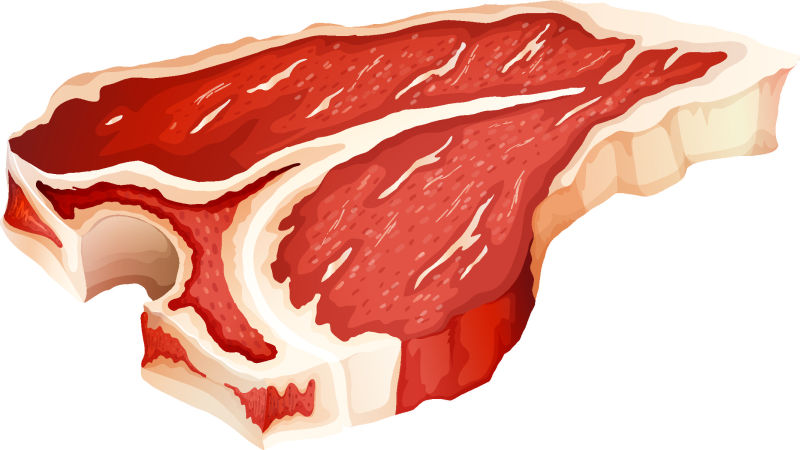 新鲜的生肉矢量