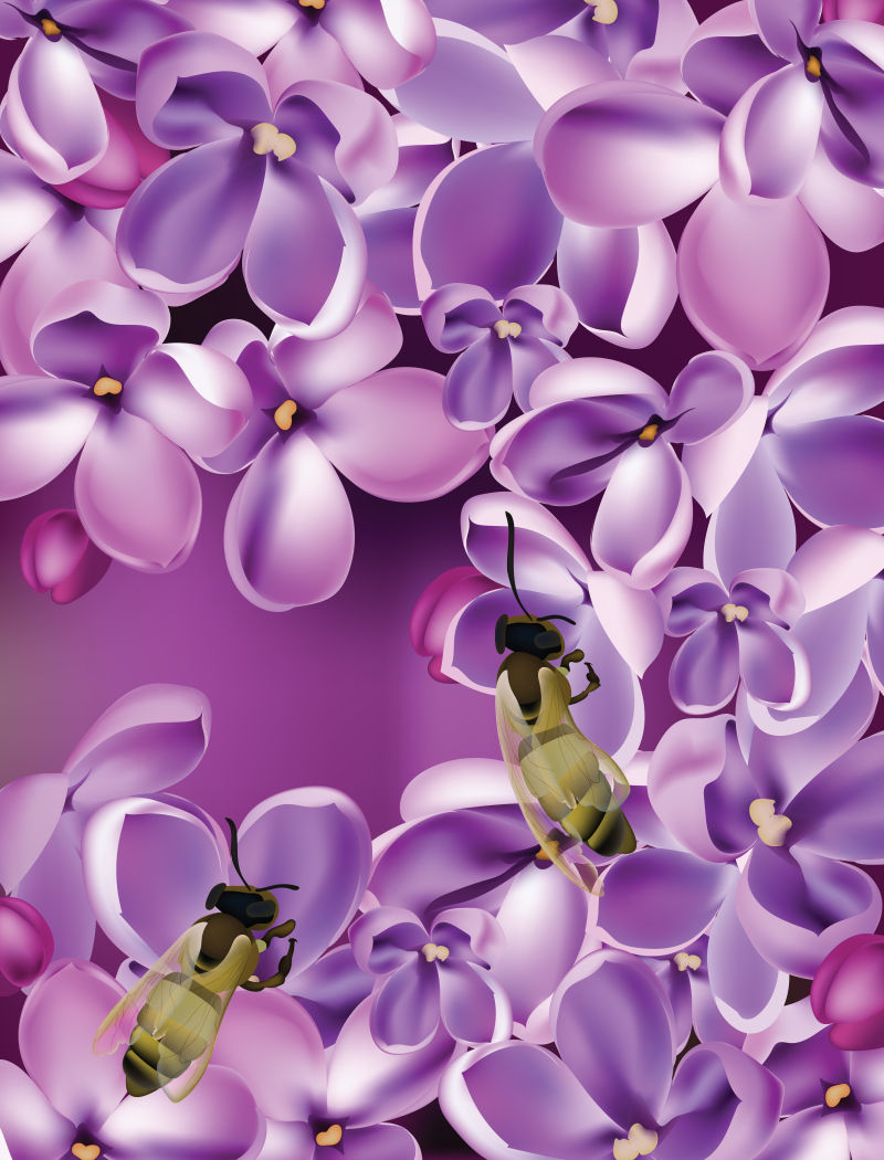 创意矢量紫色丁香设计背景