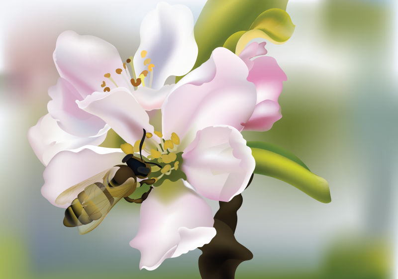 创意矢量蜜蜂正在采花蜜插图