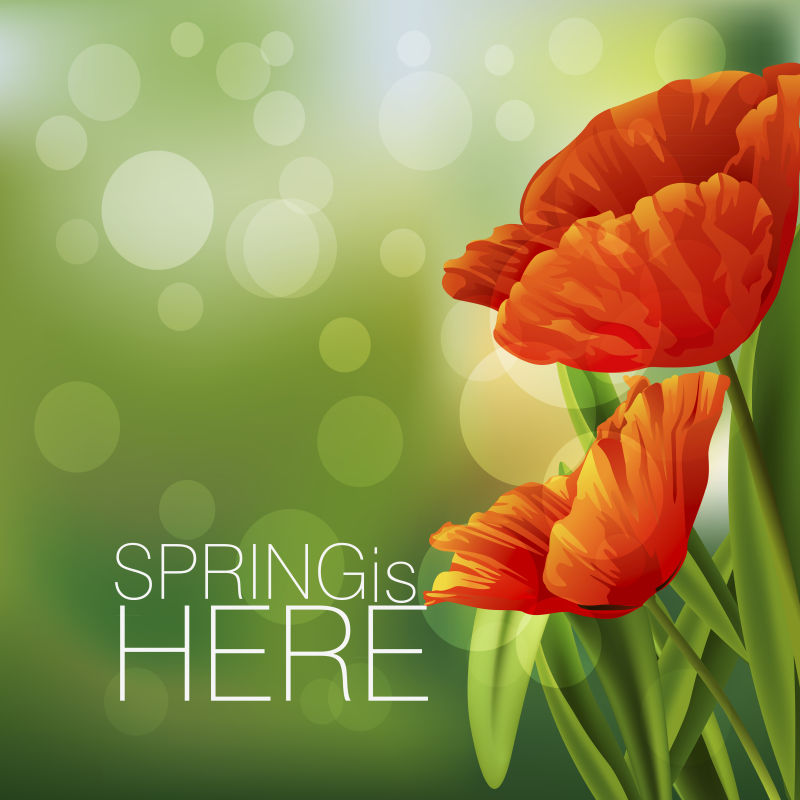 抽象矢量彩色花卉元素的春季背景设计