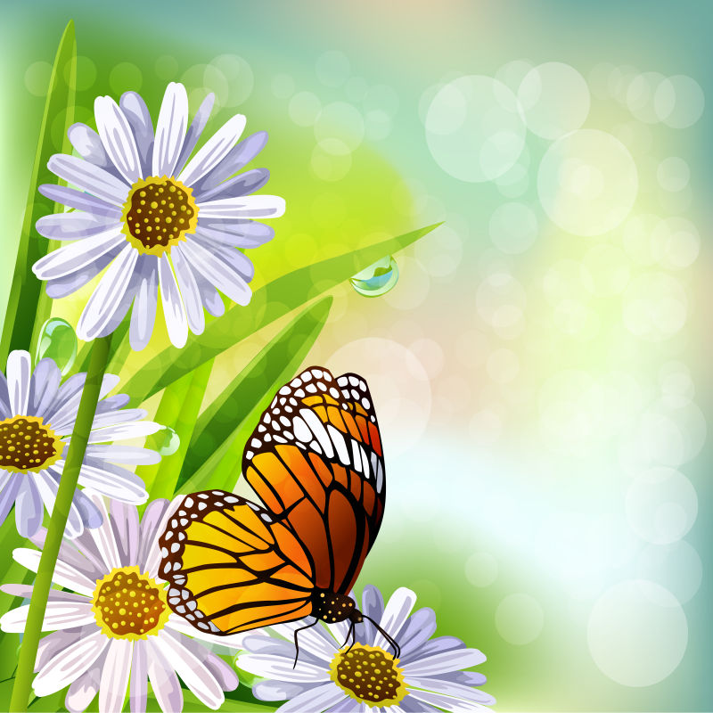 矢量美丽的花卉蝴蝶元素背景设计