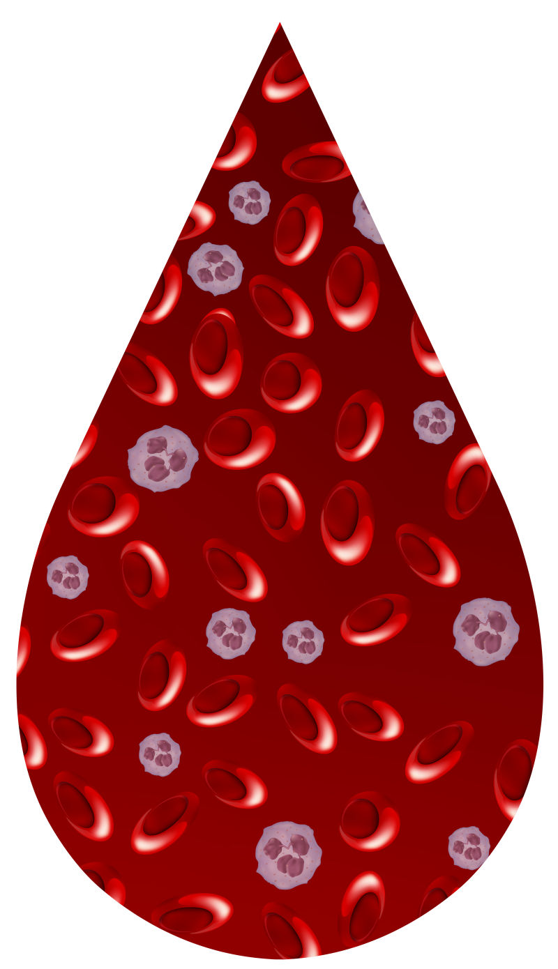 矢量血液中的细胞