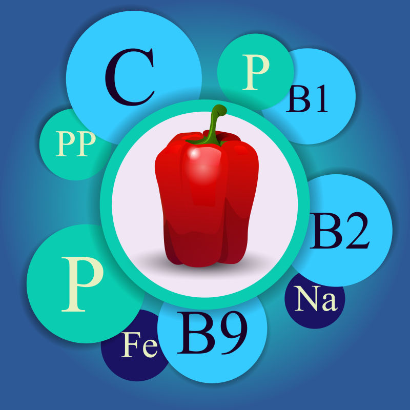 矢量红椒所含维生素信息插图