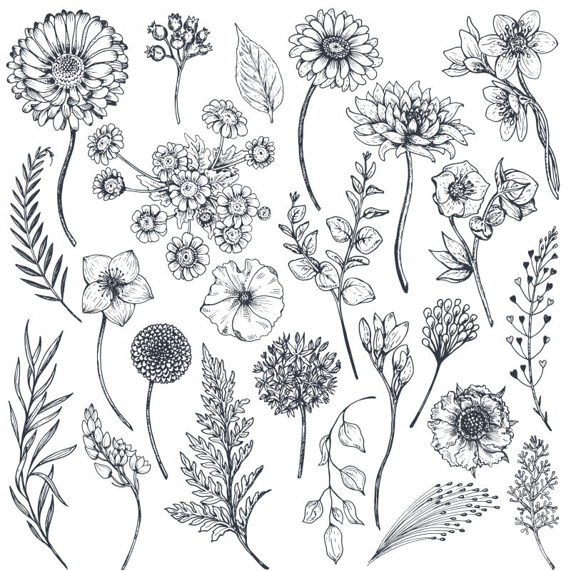 抽象矢量现代手绘花卉设计元素插图