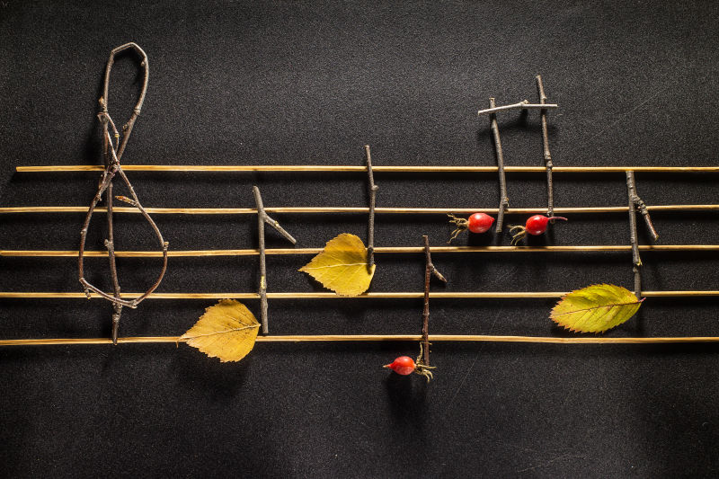 音符构思木制的音符和树叶