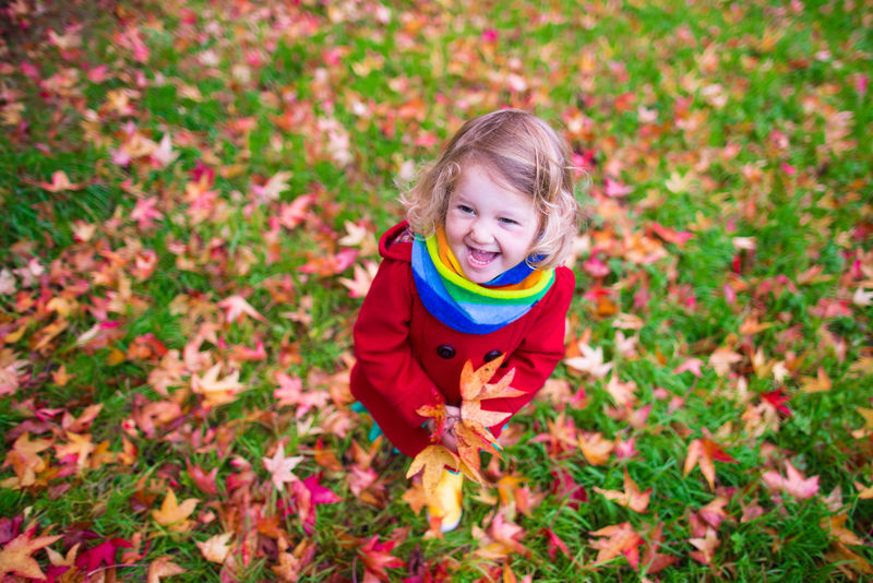 秋天玩枫叶的小女孩