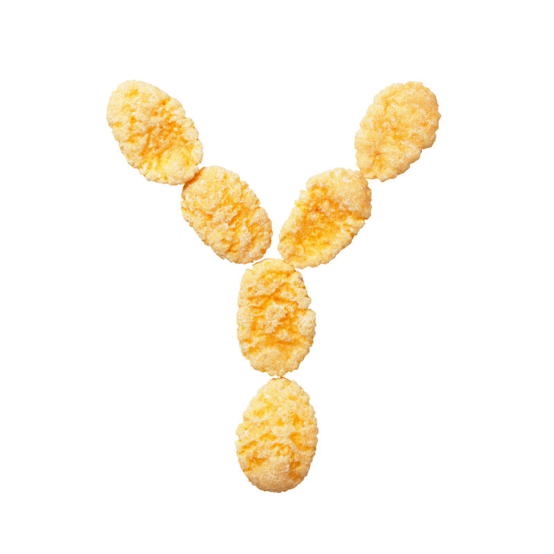 白色背景上的黄色玉米片字母Y字母谷物薄片