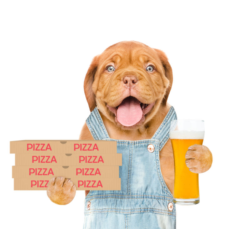 快乐的披萨送小狗披萨盒和啤酒白底隔离