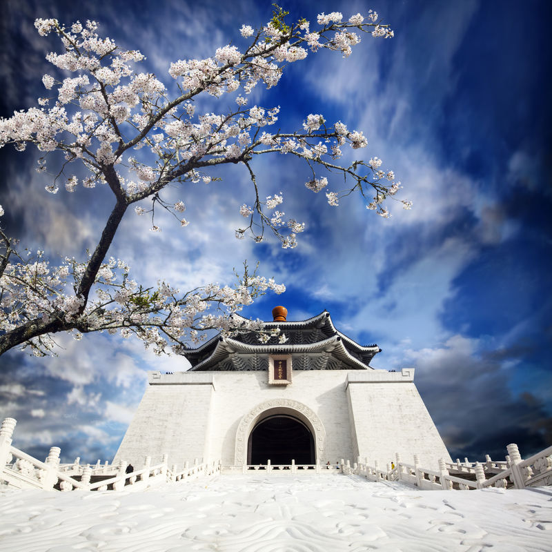 台湾蒋介石纪念堂樱花