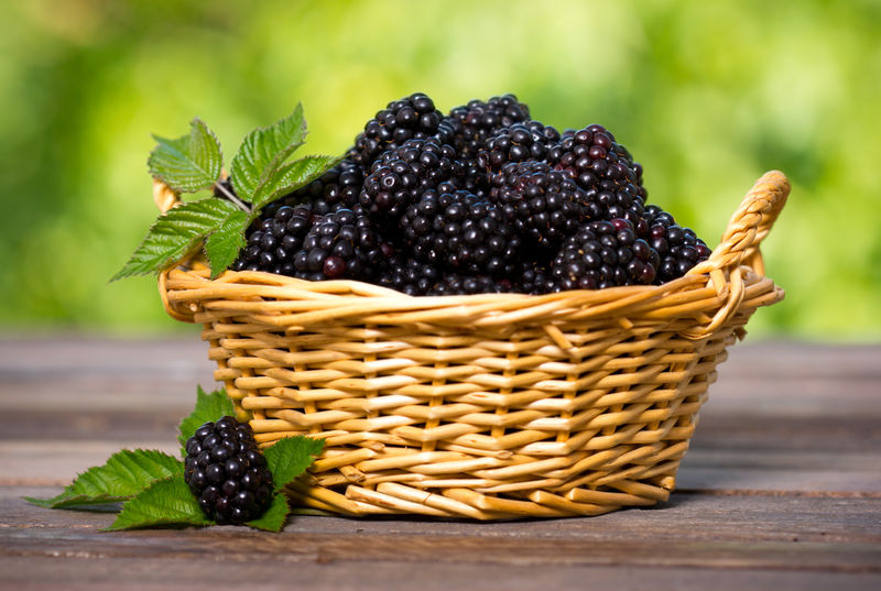 篮子里的黑莓